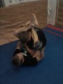 /album/mma-trening/cam00856-jpg/